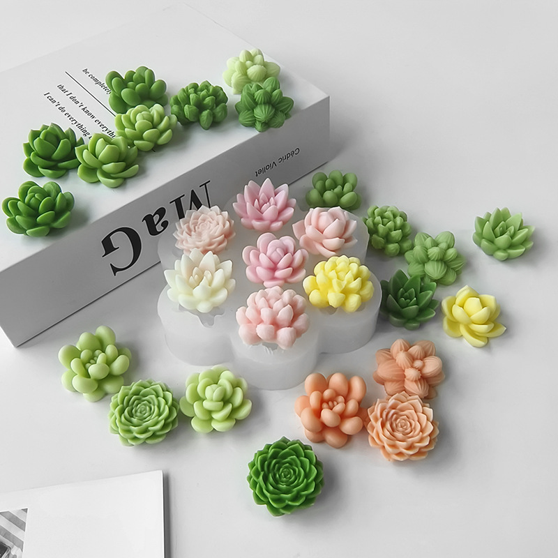 7 In1 Succulent Cactus Silicon - огляд і ціна Soap Making Things